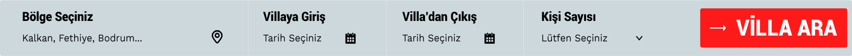 Villanı Kendin Bul
