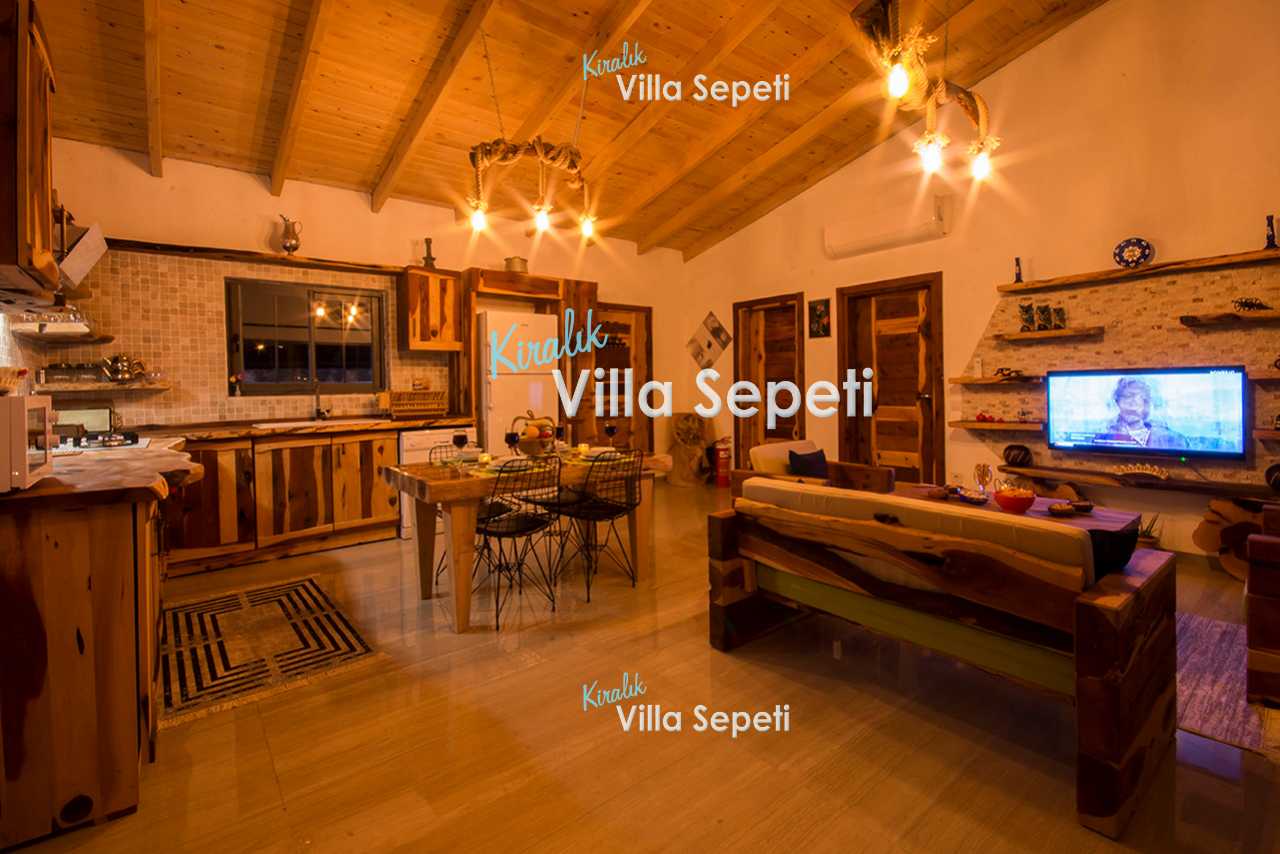 Villa Log