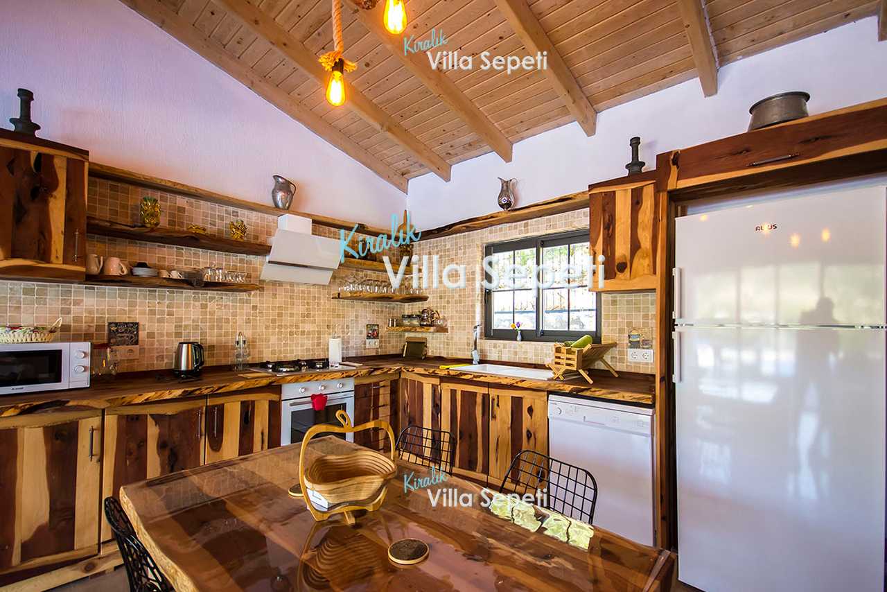 Villa Log