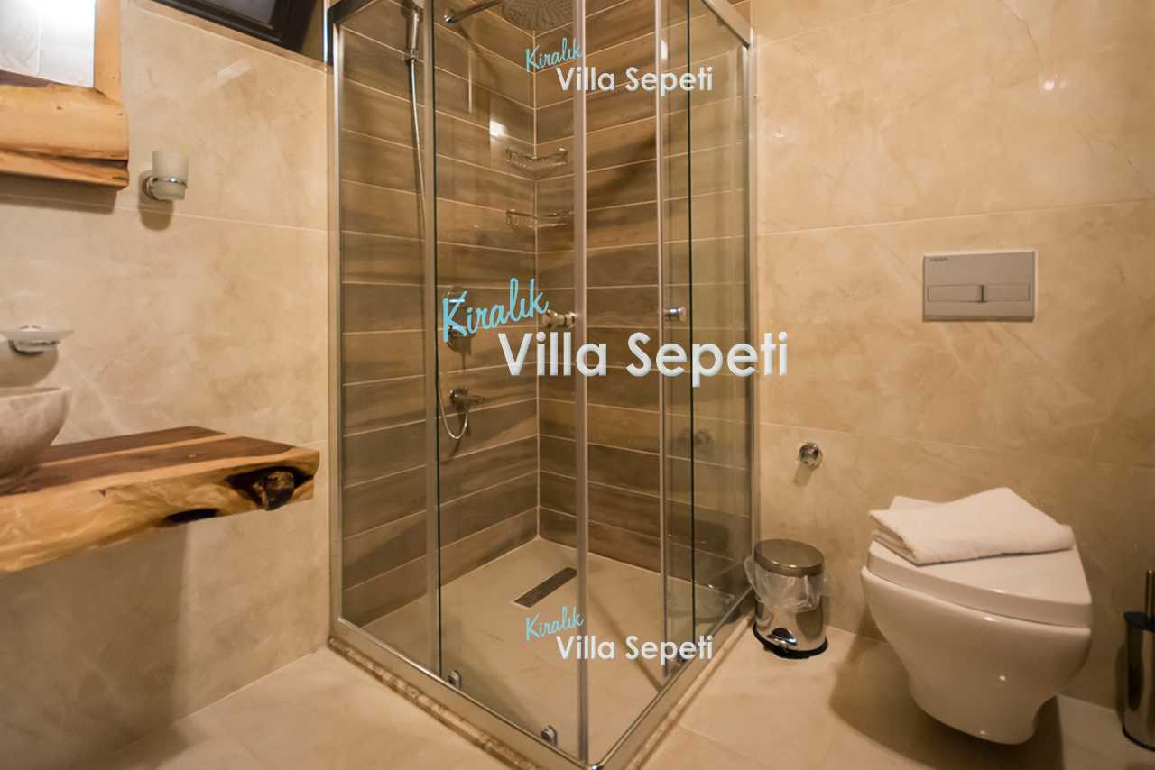 Villa Log