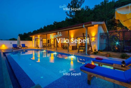 Villa Log